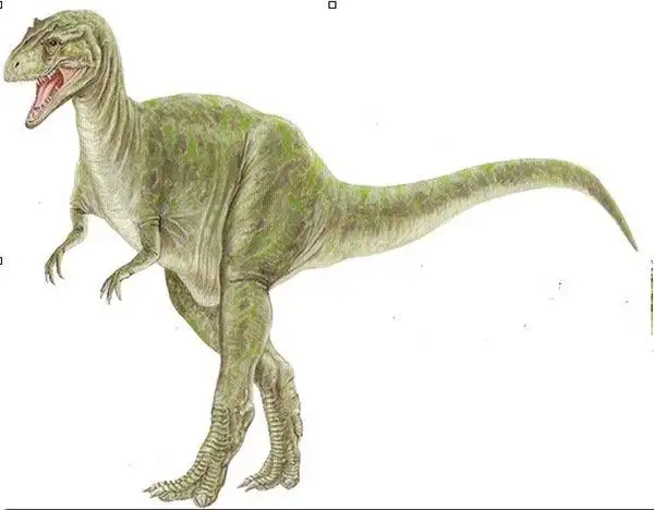 世界上最厉害的恐龙异特龙