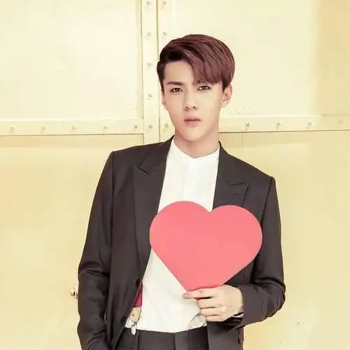 exo心形手势 吴世勋做的 求图片!