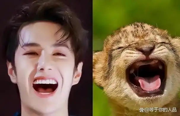 王一博小时候竟骑真老虎?