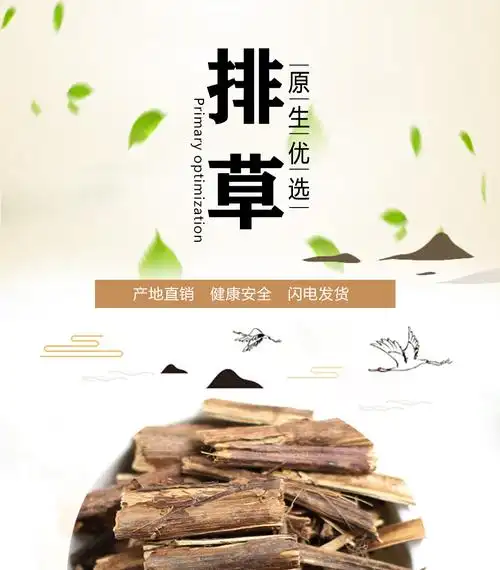 北京同仁堂排草500g香排草食用中药材散装排香草拍草桃草香草钓鱼排