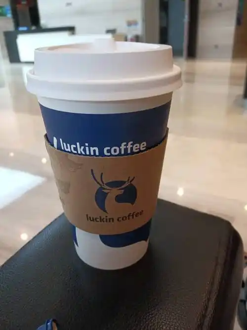 今天放纵一下,喝一杯网红咖啡,瑞幸生椰咖啡,好味道呢