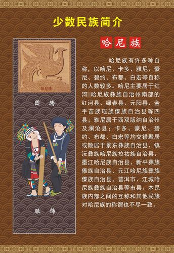 m768海报印制喷绘展板745中国56个少数民族图腾服饰简介之哈尼族