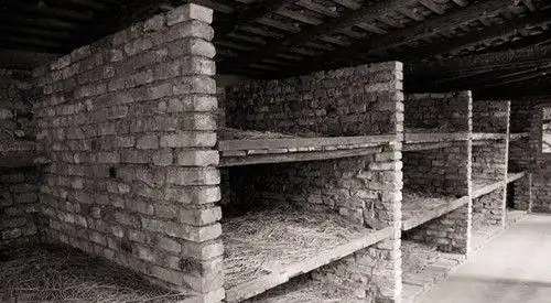 纳粹老照片犹太少女被圈养在纳粹生育农场宿舍就像是猪圈