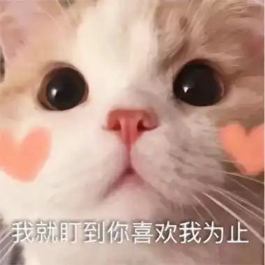 搞怪猫头像带字,高清带字的实力卖萌搞怪猫咪头像图片.