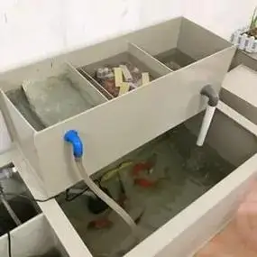 锦鲤地缸鱼池厂家直销排水口过滤出水低吸可订制送水泵加厚大型过滤池