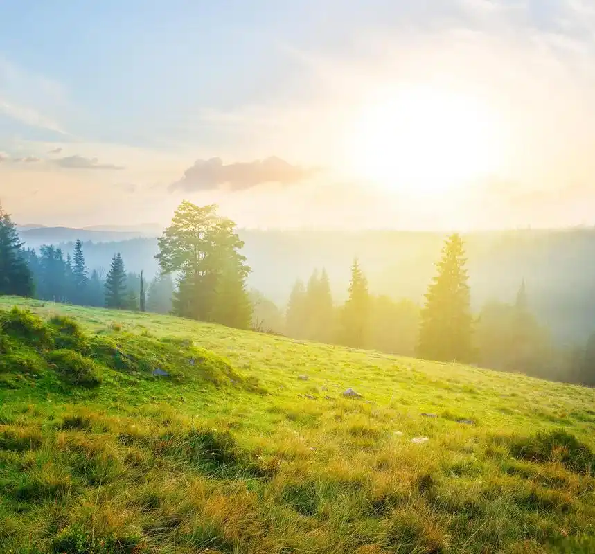 万物苏醒,草木抽芽,花开满园,一幅生机勃勃的春景画卷跃然眼前.