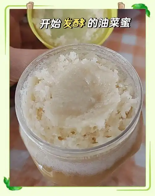 油菜蜜为何难觅踪影?产量大却难见市面