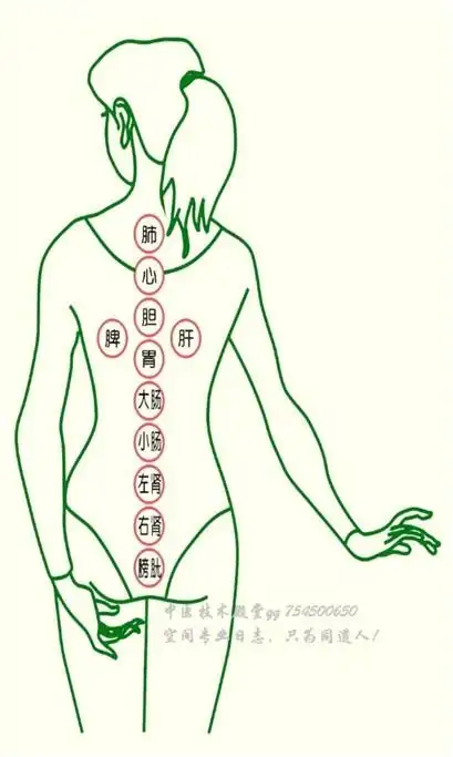 教你如何正确的拔罐 - 得道真仙不易 - 得道真仙不易