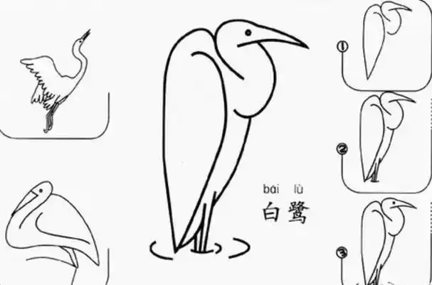 白鹭怎么画,需要掌握以下七点,你就是画鸟类的高手