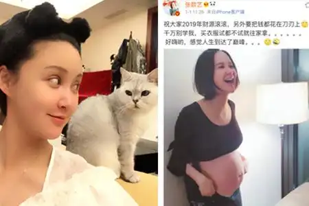 2018年8月23日,在袁弘生日当天,张歆艺宣布了怀孕的好消息,让大家觉得
