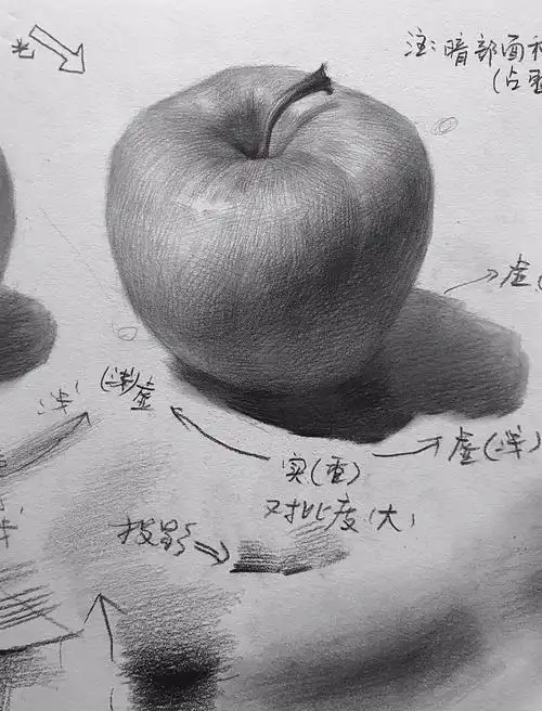 素描静物单体  #素描静物单体塑造  #素描静物单体苹果 #素描苹果