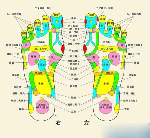 足底按摩穴位图