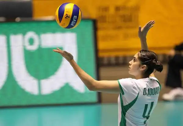 组图:波兰3-0胜阿尔及利亚 发球美女侧影靓丽