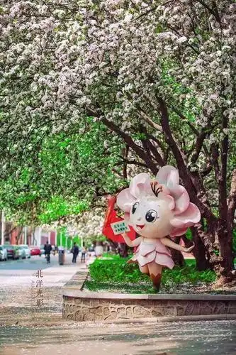 春节要到了,听说海小棠也要换新衣了!