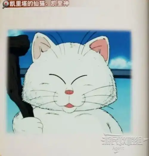 《龙珠z卡卡罗特》回忆之地图鉴及收集方法_卡林塔的仙猫,卡林仙人