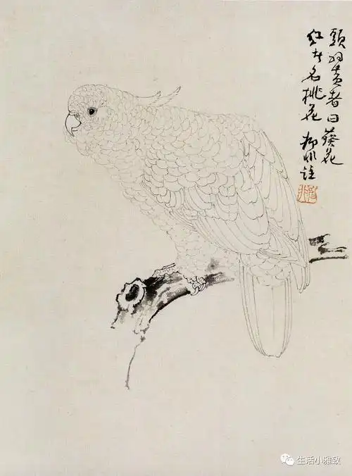 白描禽鸟课徒稿陆抑非