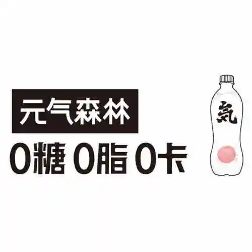 元气森林粤东办事处