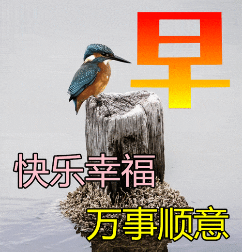 11月15日周一早上好动态表情图片大全,早晨好动图美图大全_问候_开心