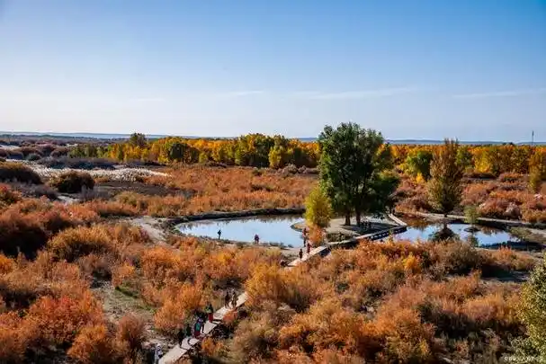 碧波荡漾,天湖仙境——探秘喀什地区泽普金湖杨景区