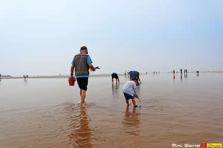 1,海鲜就去任家台,那边现在还有渔村码头,是日照北部旅游区保留码头不