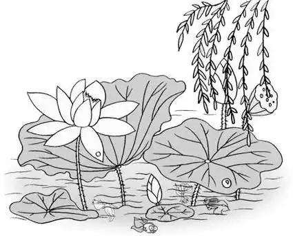 了解更多荷花简笔画,荷花简笔画简单又好看 画法,荷花简笔画带颜色