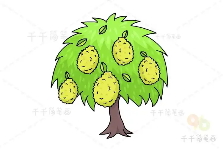 榴莲树简笔画