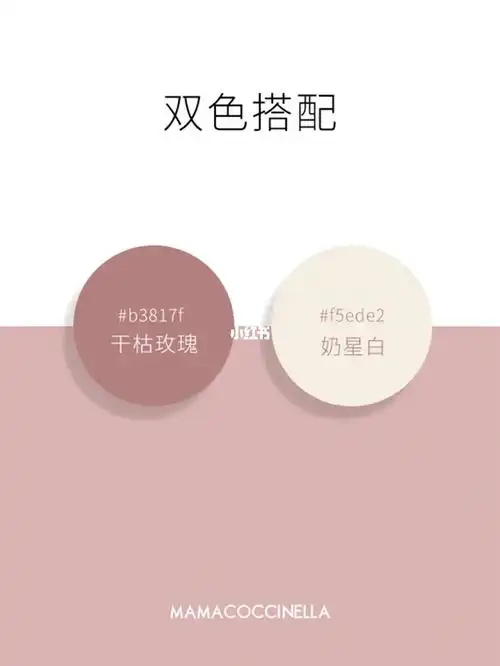 五组干枯玫瑰实用搭配色彩搭配灵感