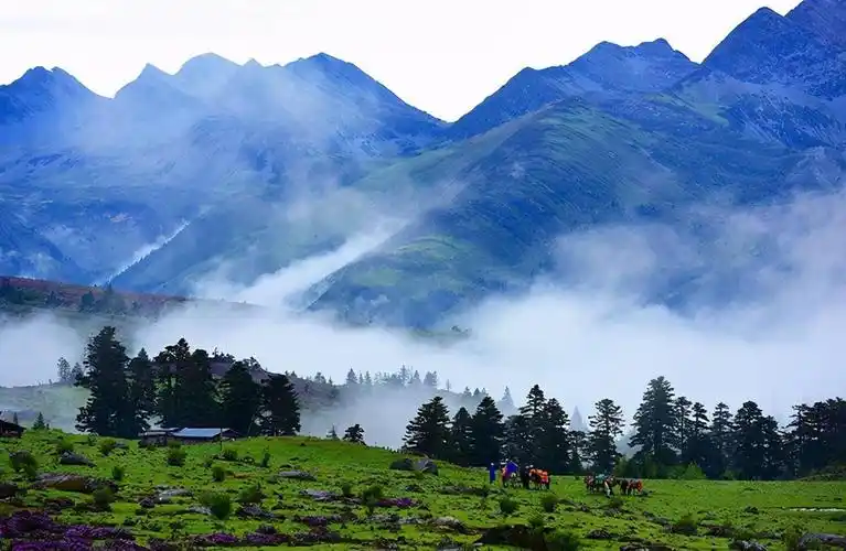 古纳西王国东巴秘境一山一谷一城一梦一千年