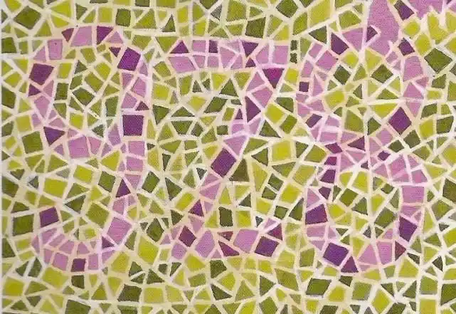 高考体检色觉检查图,高考体检色觉检查图名称俞自萍什么意思-友友