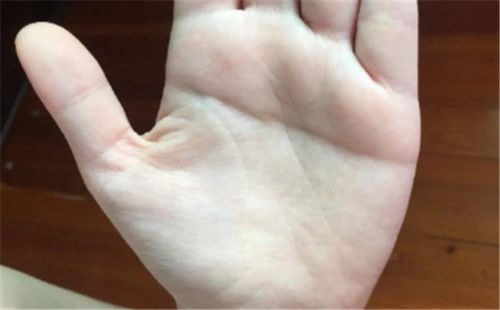 图片来源网络,如有侵权请联系站长删除女人假断掌的恋爱观女人假断掌