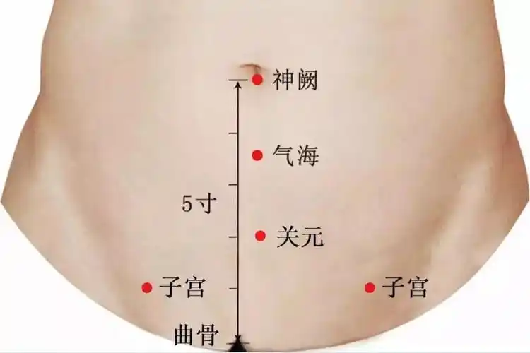 关元在脐下3寸之处,灸之可以补益元气,培元固本,是壮阳和保健要穴