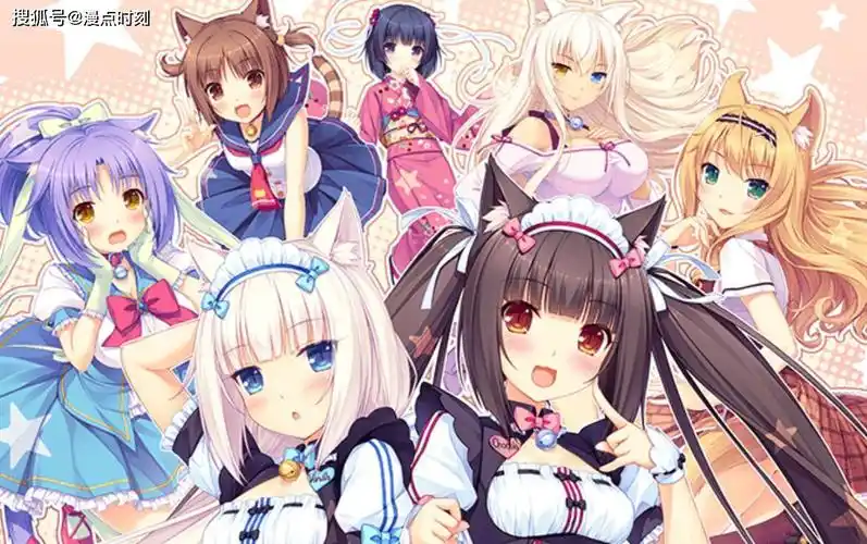 漫传猫娘和猫咪你选哪一个赶跑你的不开心猫娘来治愈你