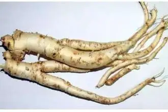 商陆根怎么吃商陆根的食用方法