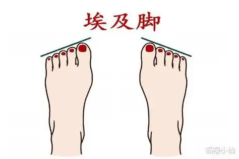 什么脚型的人富贵命,二脚趾头长男人命运-帝神算命网手机版