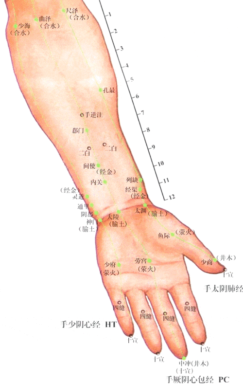 【视频】每日一穴位 手太阴肺经之孔最