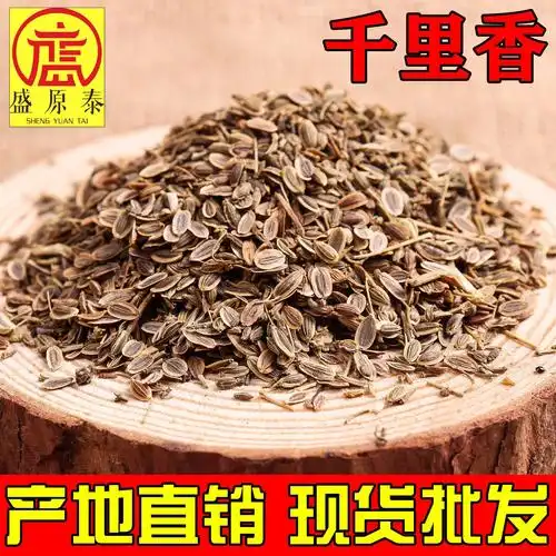 出售优质 千里香 散装香料川菜火锅料 餐饮卤料提香佳品 加工粉