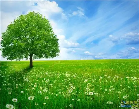 蓝天白云草地草坪草原绿草坝上自然美景草原美景草原风景jpg910