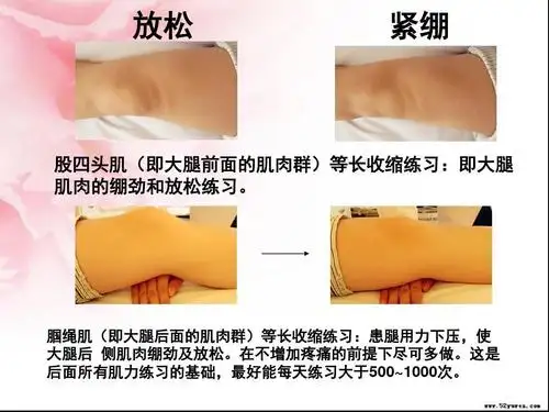 股四头肌等长收缩练习