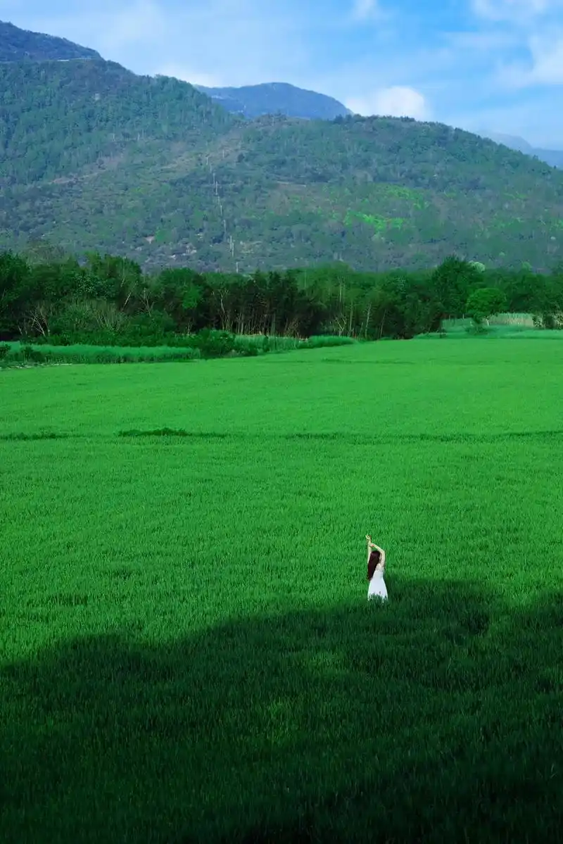 稻田写真怎么拍.分享稻田人像拍摄的前后思路:1准备二个镜头, - 抖音