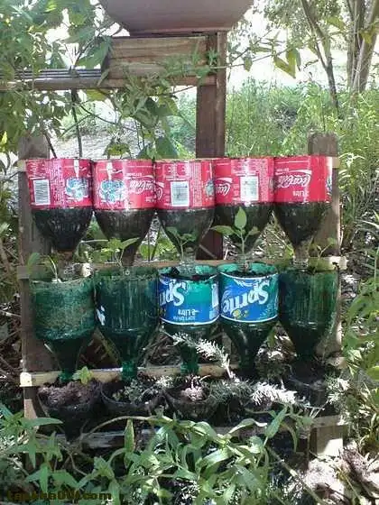 种菜准备---可乐瓶菜园【转】