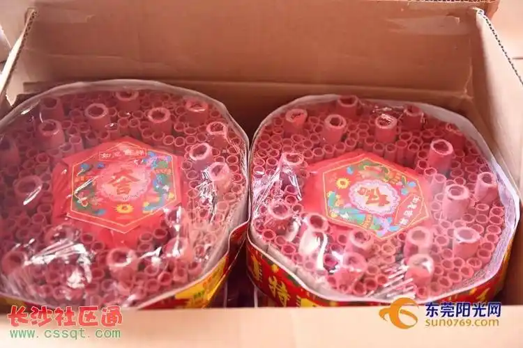 广东东莞某村果场里匿藏着15吨炸药库