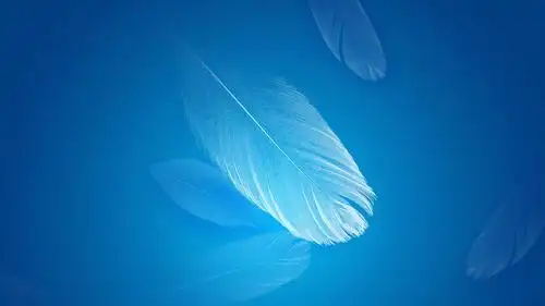 蓝色唯美羽毛