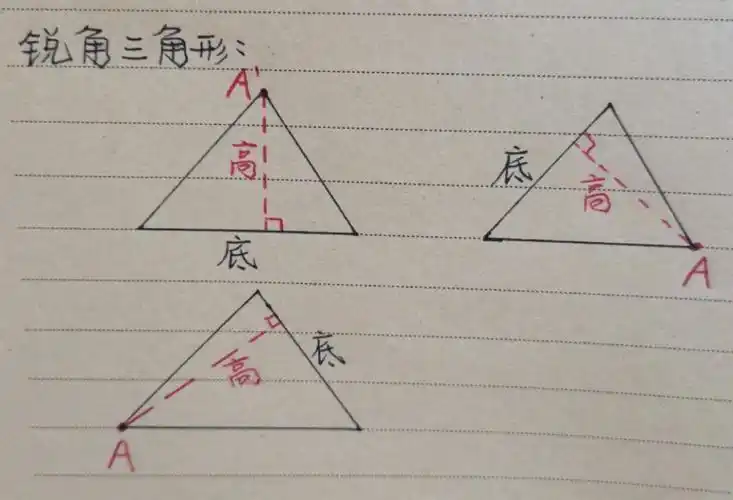教你怎么画三角形的高
