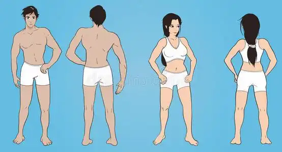 解剖学男人图片