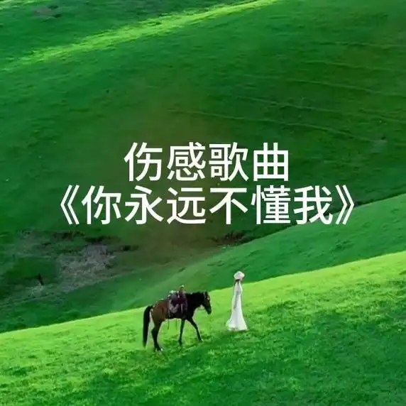 伤感歌曲《你永远不懂我》欢迎来主页试听哦 92 伤感的歌曲就像一张