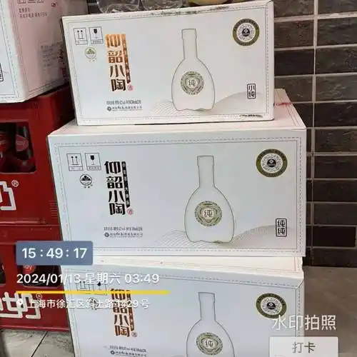 仰韶小陶,火爆上海!