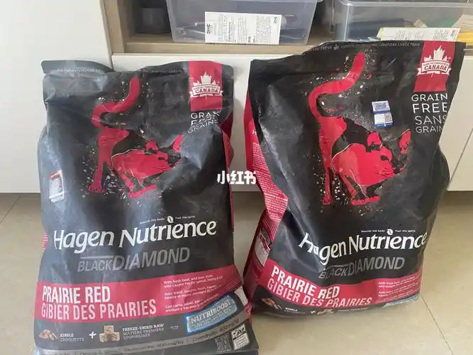 来说一下最近纽翠斯