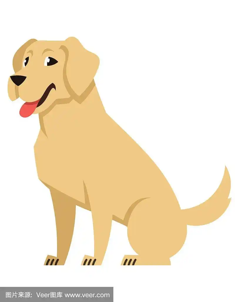 拉布拉多犬,侧面视角,可爱的,宠物,扁平化设计
