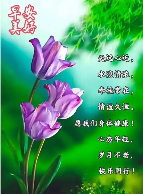 6月29日星期四早安祝福暖心图片带字带早上好语录,祝朋友们幸福吉祥!