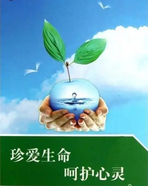 写美篇生命是一份幸福,要学会把握; 生命是一次机会,要学会珍惜; 生命